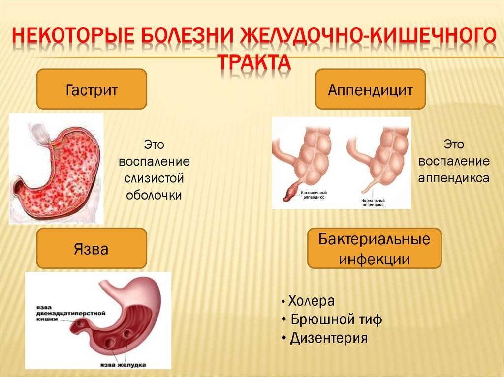 Профилактика заболеваний жкт презентация